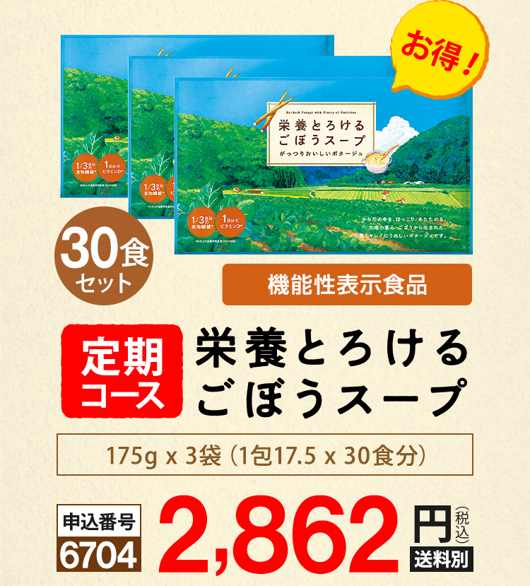 【定期コース】栄養とろけるごぼうスープ30食セット