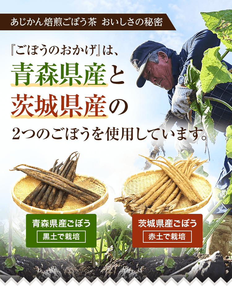 ごぼうのおかげ』は、青森県産と茨城県産の2つのごぼうを使用してい