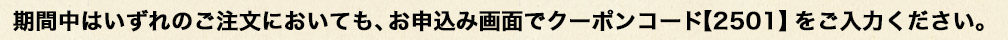 500円引きを適用するには注文画面でクーポンコードを入力してください