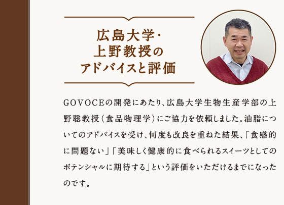 広島大学・上野教授のアドバイスと評価