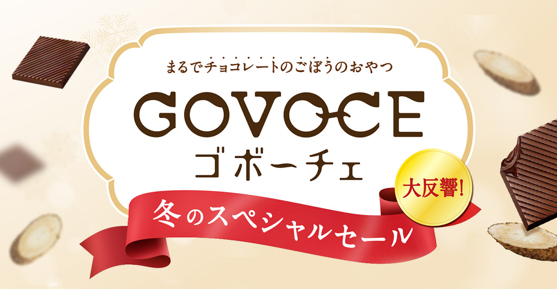 GOVOCE冬のスペシャルセール"