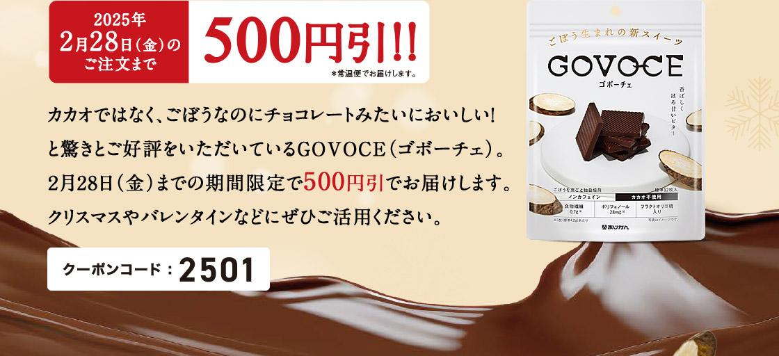 GOVOCE（ゴボーチェ）を期間限定で５００円引きでお届けします。