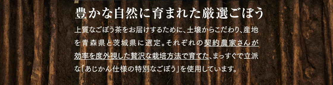 豊かな自然に育まれた厳選ごぼう