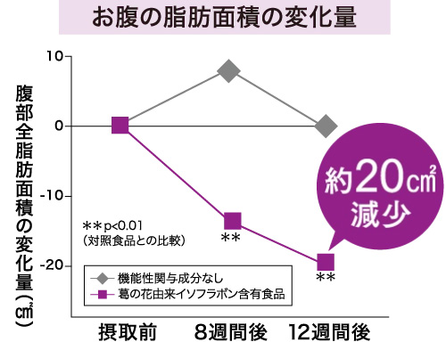 お腹の脂肪面積の変化量