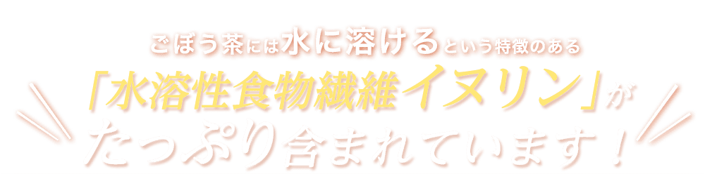 ごぼう茶には水に溶けるという特徴のある「水溶性食品繊維イヌリン」がたっぷり含まれています