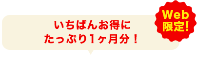 いちばんお得にたっぷり1ヶ月分！