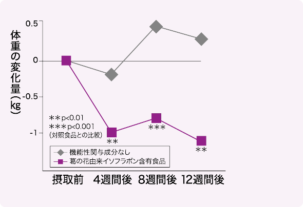 お腹の脂肪面積の変化量