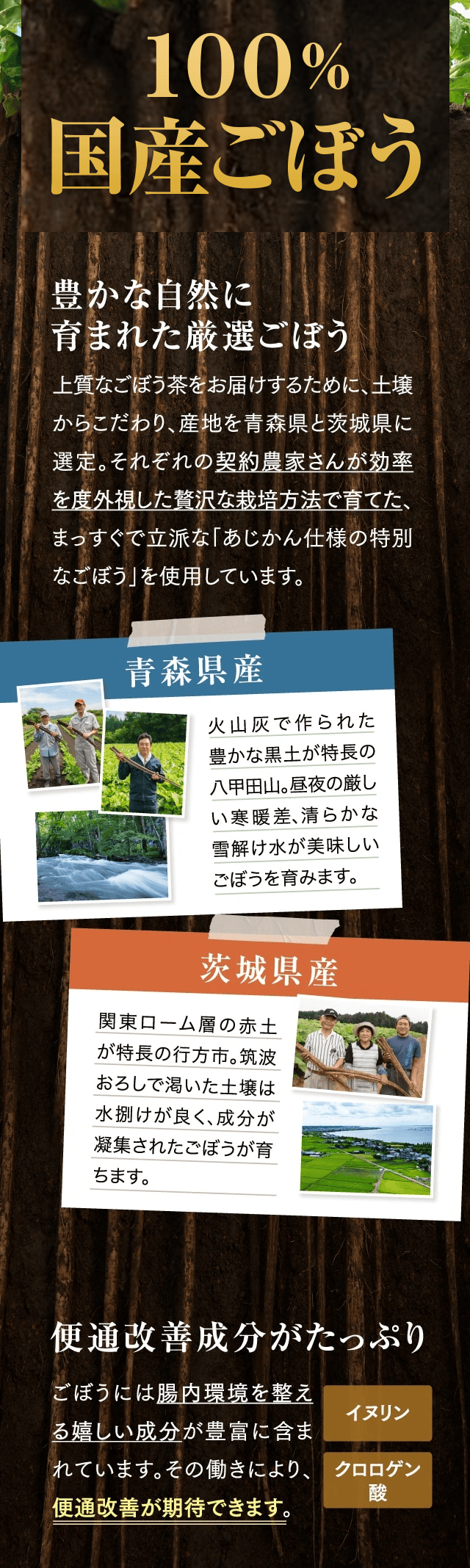 100%国産ごぼう