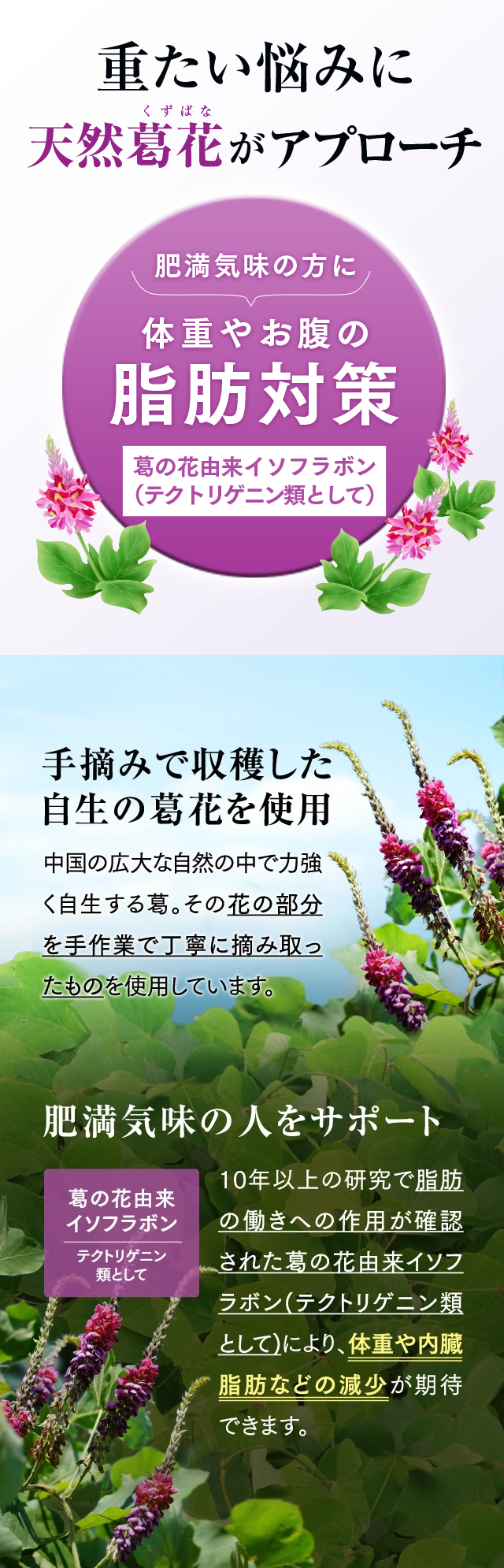 重たい悩みに天然葛花がアプローチ