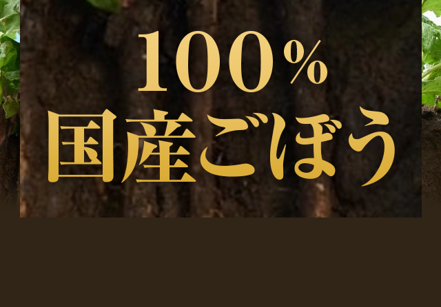 100%国産ごぼう