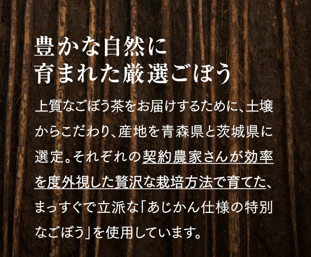 豊かな自然に育まれた厳選ごぼう