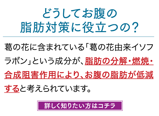 どうしてお腹の脂肪対策に役立つの？