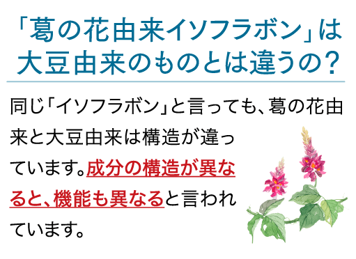 「葛の花由来イソフラボン」は大豆由来のものとは違うの？