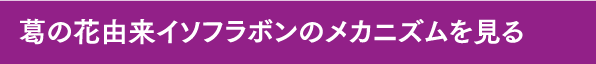 葛の花由来イソフラボンのメカニズムを見る