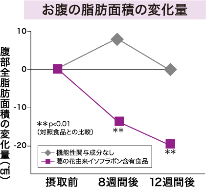 お腹の脂肪面積の変化量