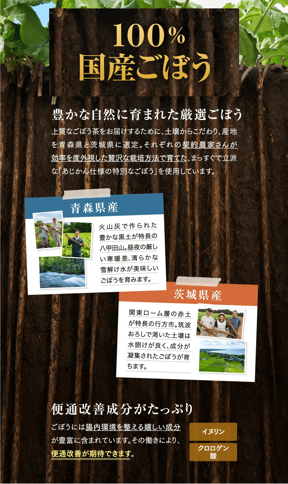 100%国産ごぼう