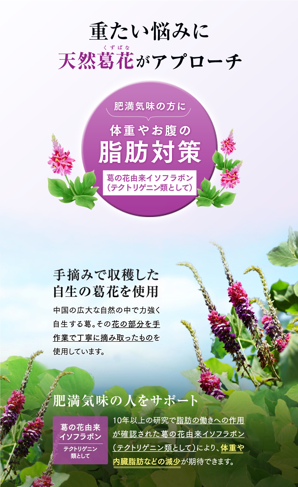 重たい悩みに天然葛花がアプローチ