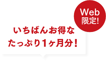お得にしっかり実感したい！