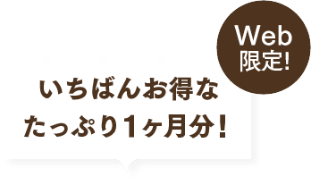 お得にしっかり実感したい！